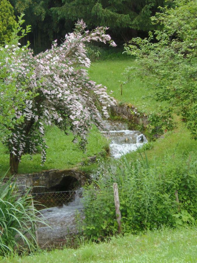 La Chabotine Bed and Breakfast Allas-Les-Mines Buitenkant foto